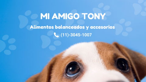 Carrusel Mi Amigo Tony