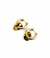 Aros cher Carey - comprar online