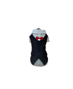 Traje elegante macho