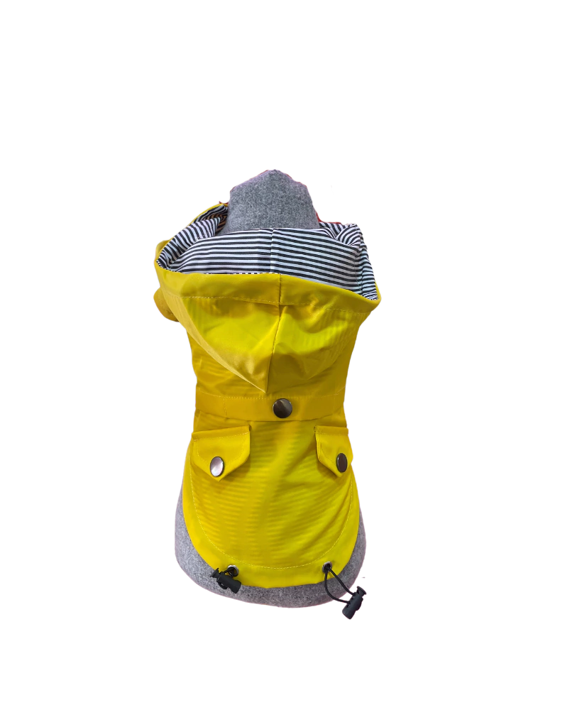 Impermeable tipo gabardina - Bright Pets Boutique