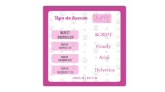 Gato europeo - Bright Pets Boutique