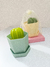 Esponja Cactus - comprar online