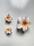 Conj. Flor - Laranja - comprar online
