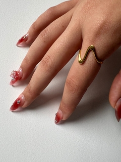 ANILLO S en internet