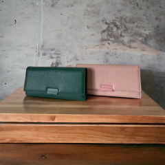 CARTERA BASICA