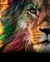 KIT CAPA DE BIBLIA - LEÃO DE JUDÁ VL1 001 - loja online