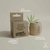 Suporte de Bambu para Escova Dental - comprar online