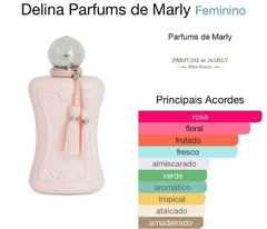 Inspiração Delina | 25m - comprar online