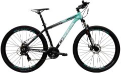 OXEA Riddich R29