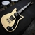 EPIPHONE WILDSHIRE WORN 66