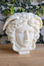 Vela │ Busto Medusa en internet