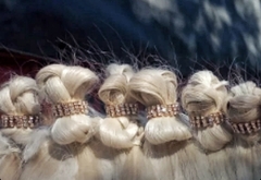 Banner de la categoría Accesorios para tu Caballo