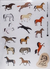 Stikers - comprar online