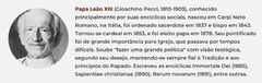 Banner da categoria Papa Leão XIII