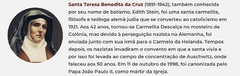 Banner da categoria Santa Teresa Benedita da Cruz