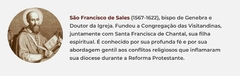 Banner da categoria São Francisco de Sales