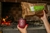 YERBA MATE TRADICIONAL - tienda online