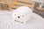 Muñeco de peluche suave de 9 estilos, Animal dulce, dinosaurio, cerdo, gato, os en internet