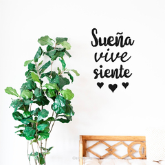 SUEÑA - F0004