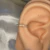 Piercing Conch Gold TITÂNIO G23