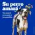 BISCROK MULTI X 100 GRS en internet