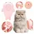 CEPILLO C/ VAPOR BEEPAW BALLENA ROSA - comprar online