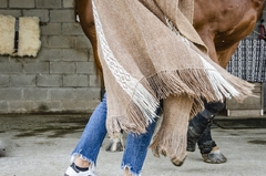 Poncho - Norte- - theOrigen