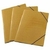 CARPETA " HASENAUER " 3 SOLAPAS "OF" C/ELASTICO MARRON (5274)