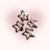 Hebillas Star Paradise - comprar online