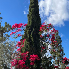 ENCUENTROS CERÁMICOS EN MALLORCA - comprar online
