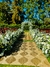 Ceremonias al Aire Libre - comprar online