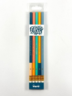 SET DE LAPICES TERRA X5