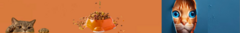 Banner da categoria Ração Seca