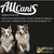 Ração Allcanis 3Kg Premium Filhote / Frango, Carne e Arroz - Seu Little Pet