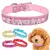 Coleira de cachorro - comprar online