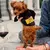 Moda cão moletom inverno ao ar livre roupas para animais