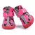 Sapatos, primavera verão botas esportivas, Antiderrapante - Seu Little Pet