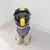 Capacete para cães e gatos, anti-colisão para animais de estimação