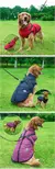 Casaco impermeável com arnês para cães pequenos e grandes, colete de cachorro - loja online