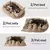 Casa de dormir quente para animais de estimação, sofá para cães