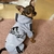 Macacão, Roupa de Cachorro - comprar online