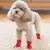 Sapatos impermeáveis de inverno para cães, botas moderadas para chuva e neve - comprar online
