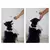 Treinamento clicker agilidade, novidade design stretchable pet cão gato - comprar online