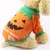 Roupa para animais de estimação, fantasia de halloween para cães e gatos na internet