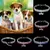 Colar de cachorro strass joia chihuahua cristal joia ajustável na internet
