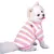 Roupas para cães roupas para cães animais de estimação