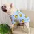 Camisola Haki de veludo quente para cães, roupa para cães, conjunto hanbok - loja online