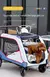 Carrinho, Cão idoso, Grande gigante Outing Cart na internet