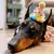 Chapéu de renda para aniversário de pet, babador bonito de gato e cachorro - Seu Little Pet