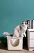 Imagem do Bacia Grande, areia - Top Entry Cat Litter Box com Cat Litter Scoop Oval